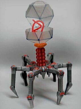 Cute Printed in Place Support Free Flexi Bacteriophage T4 is a beautifully desig